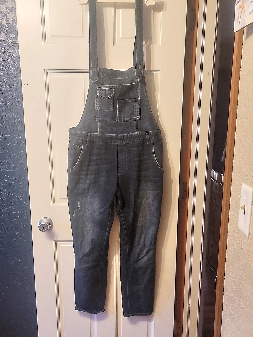 FP Women's Denim Overalls Waist 29